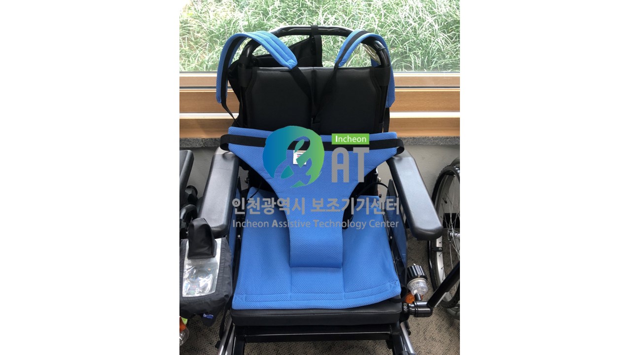 RG 102-2 휠체어 안전벨트.JPG